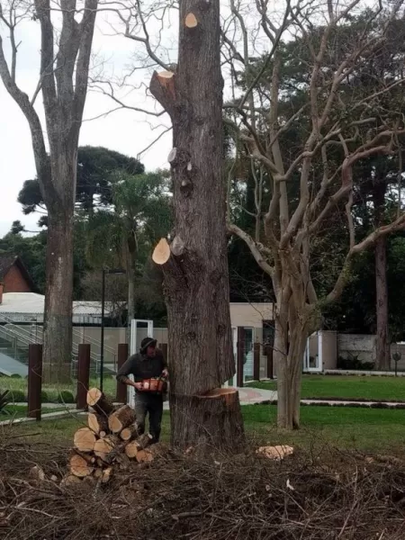 Licenciamento Ambiental